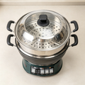 Multi‑function Electric Steamer