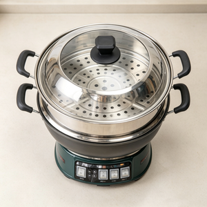Multi‑function Electric Steamer